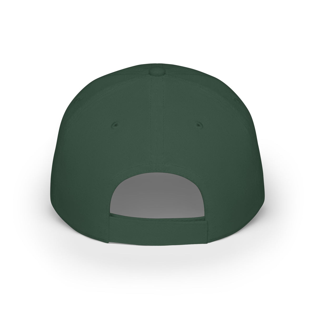Backwater Outfitters Low Profile Baseball Cap – Retro Script Outdoor Hat