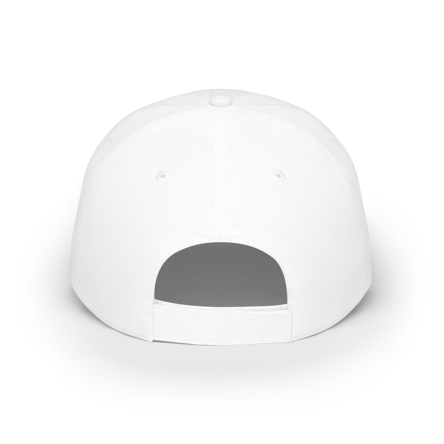 Backwater Outfitters Low Profile Baseball Cap — Vintage Marsh Sunset Logo